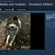 Image for article titled Steam's Most Popular Skyrim Mod Is A Protest Against Paid Mods